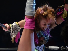 デンマークが話題になったけど