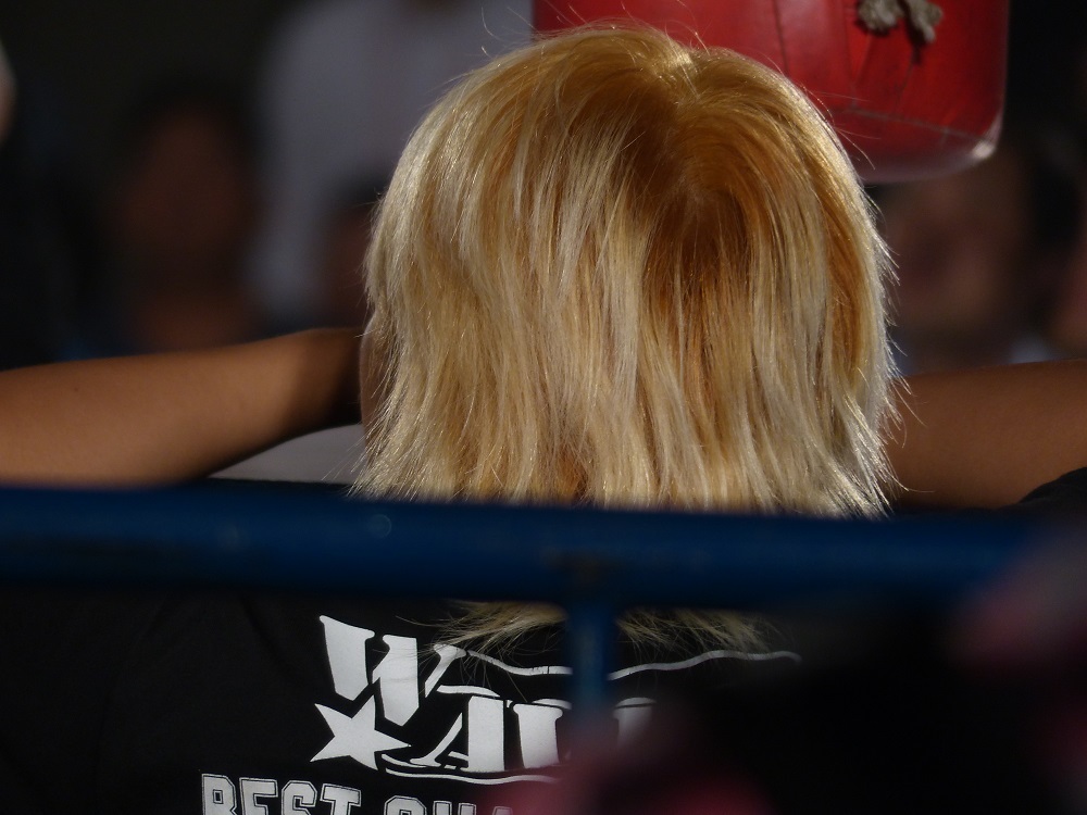 ＷＡＶＥは休止中