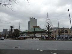 両国にばっかいたら相撲レスラーになっちまう