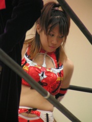 WWEで延髄斬りやってたんだなアレン