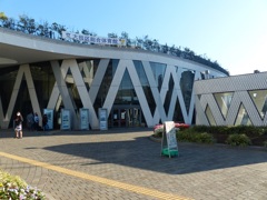 おれの印象では