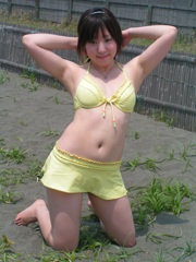 藤波ｖｓステイーブカーン