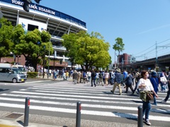 野球やってたんですねえ