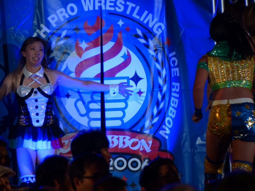 発表することがある