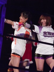 マッケンローとレンドルが出るようになったってだけか