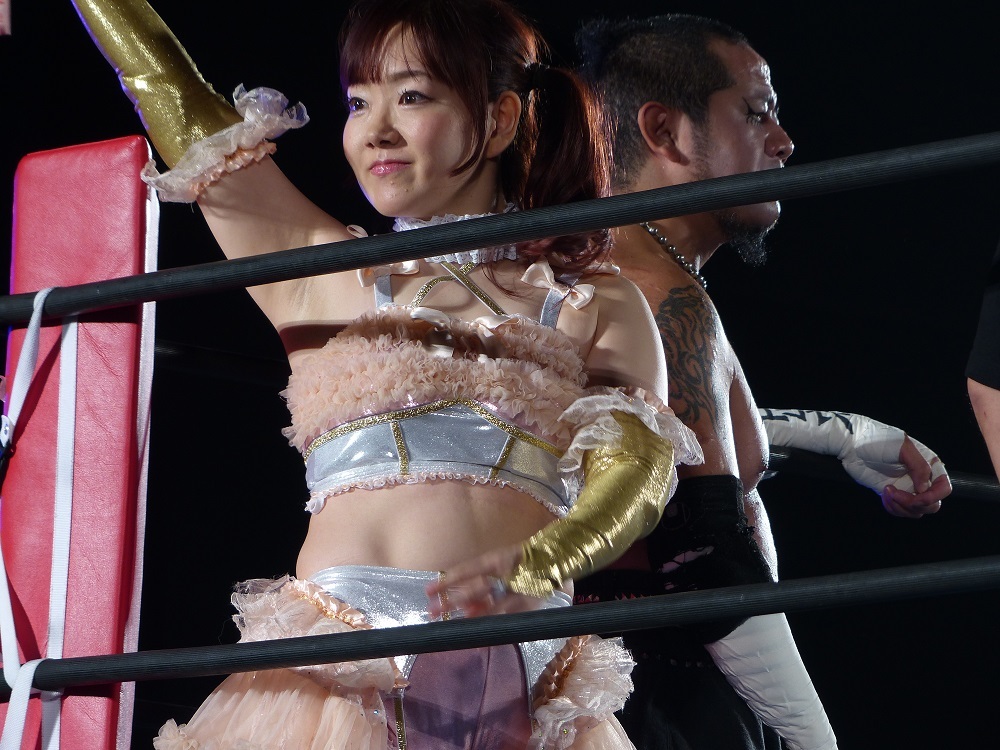 崖のふちプロレスは無人興行