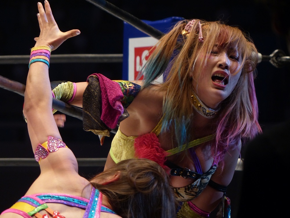 去年だけだったか