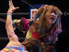 去年だけだったか