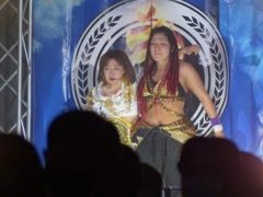 しかしウイーペキデイアで見てみると