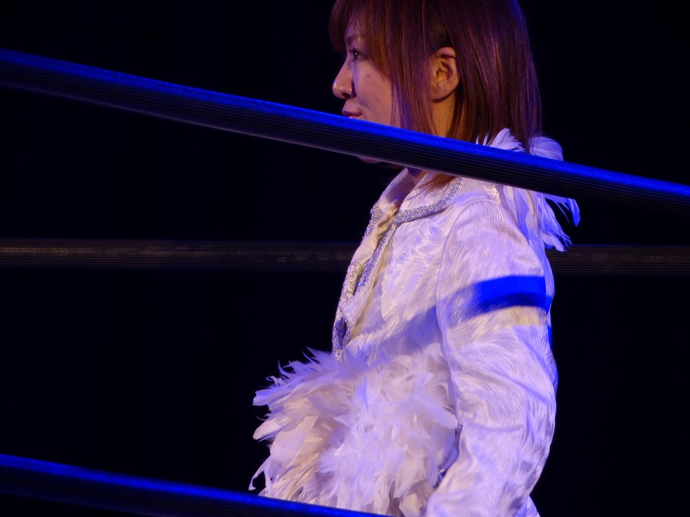 シードリングは１８日水曜日夜、新木場