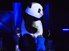 新日本この年のドームは