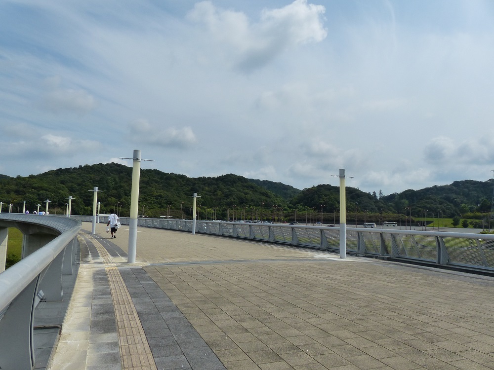 これはＳＢＳカップの日