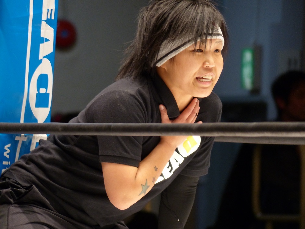 シードリング　ハイスピードルールは