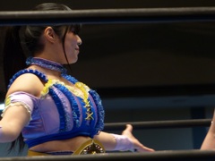 やっぱりサッカーの記事で知ったか