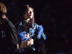 ベルギーといえばカールゴッチ