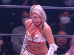 もうけっこう忘れたけど