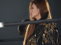 毎日聴いてます、カルトピア