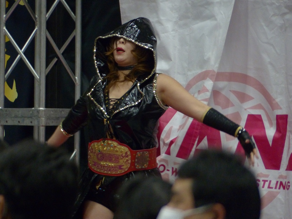 リッキーステームボードの入場テーマで使われてたなライデイーン