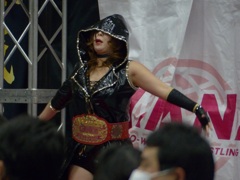 リッキーステームボードの入場テーマで使われてたなライデイーン