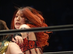 コロナウイルスだってまだやってるし