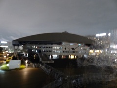 おれがプロレスの話しても仕様がない