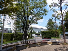 リングの中でそれで