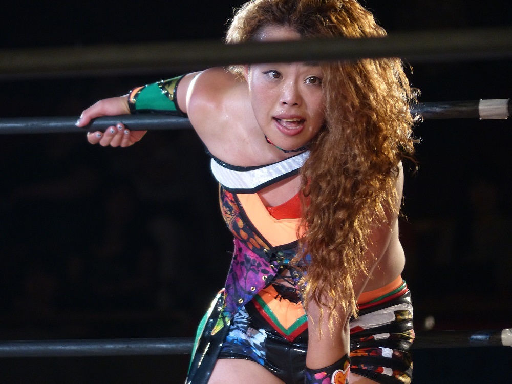 たぶんでかい会場貸してもらえなかった