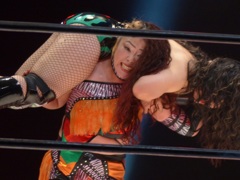 この11月の12日から25日の間