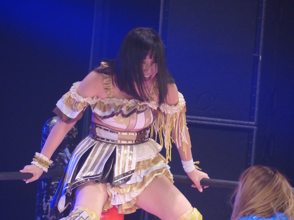 ガンバレプロレスはDDTグループでしょ