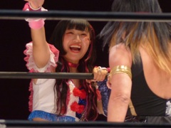 アイルランド代表監督として