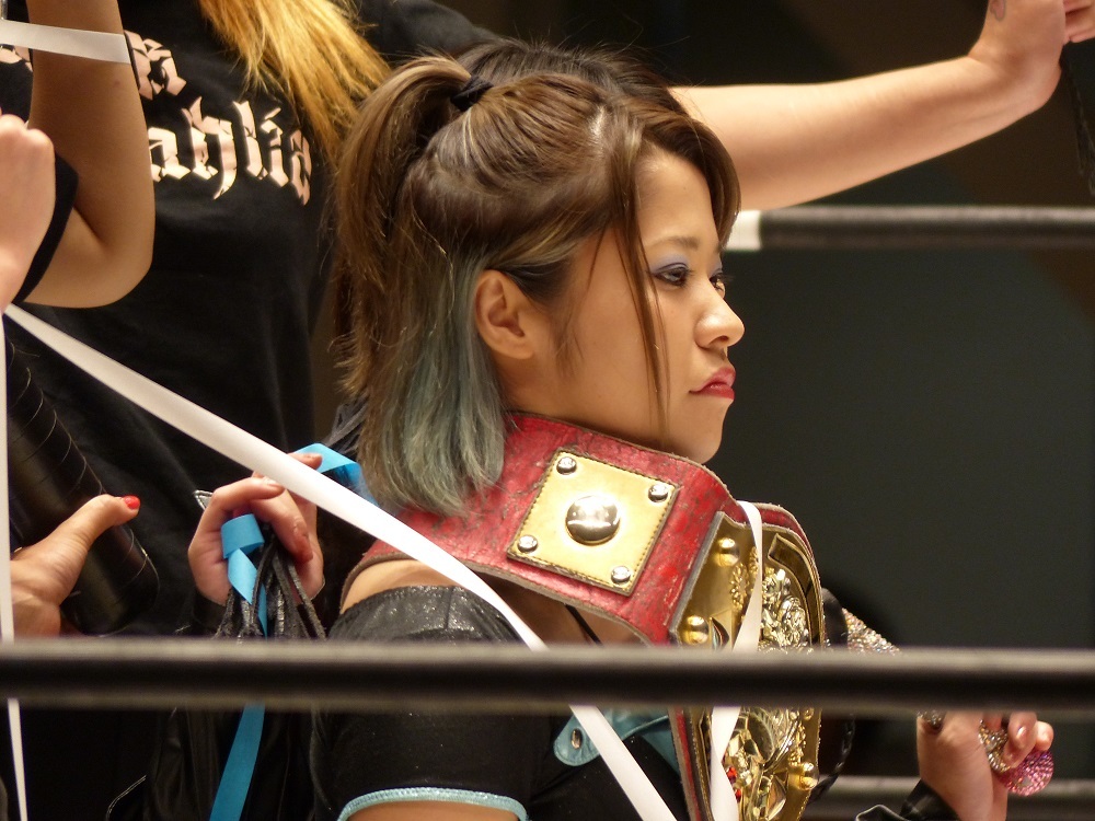 27日は全日本プロレス両国の日だ