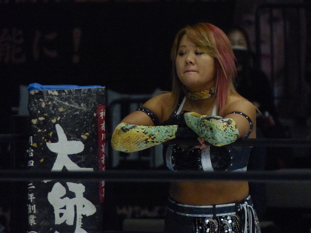 ピュアーJ、5月の板橋連戦は中止