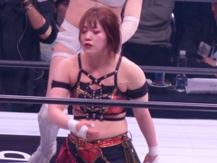 このシリーズ、来日選手は