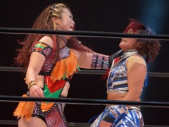 ガオラではたぶん放送予定なし