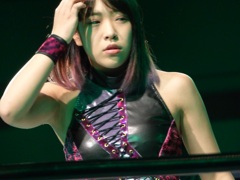 けっこうはっきりした並び立たずで思い浮かぶのは