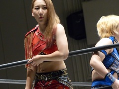 サマーファイトシリーズ２といえば