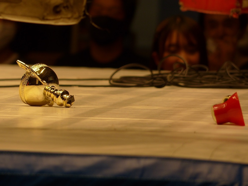 もしWAVEが優勝できなかったらね