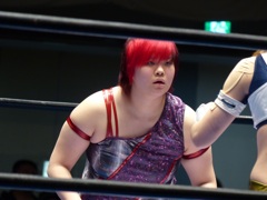 昔インデイー連合ってのがなかったか