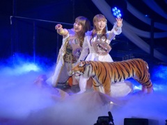 先週シンガポール