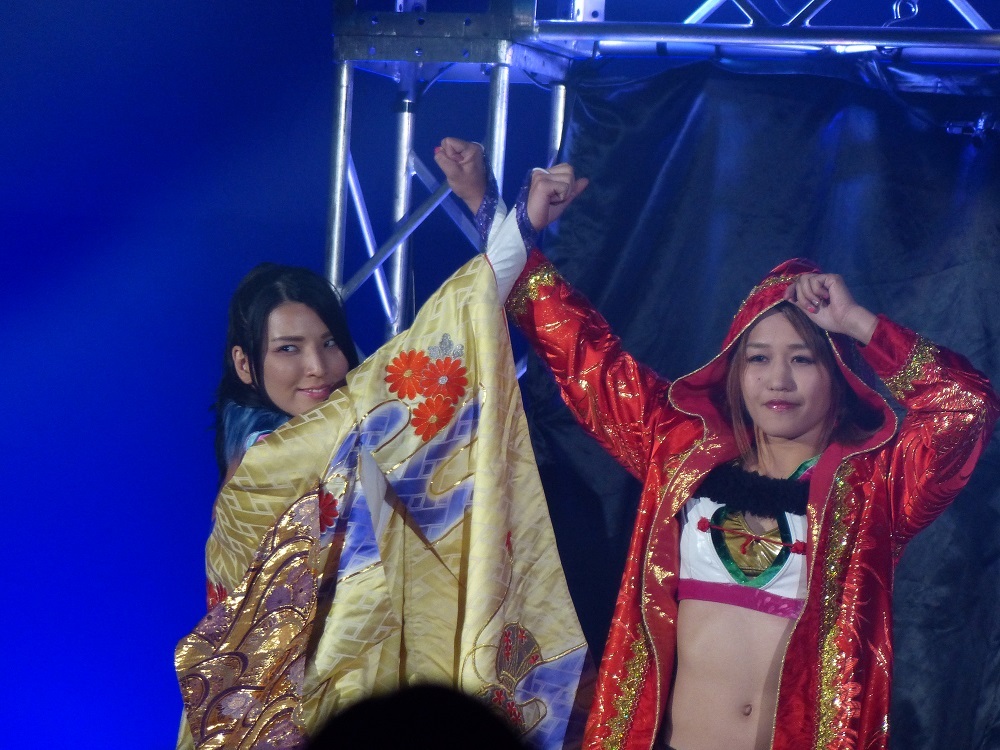 馬場ｖｓ大木、ロビンソン