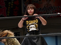 藤波ｖｓキッドのＷＷＦジュニア戦とかやってる