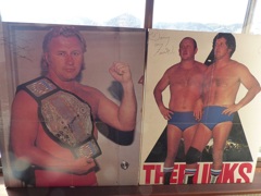 これはデラックスプロレス