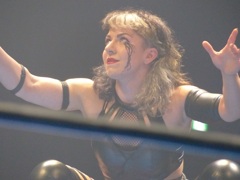 2015年は甲府、湘南がJ1