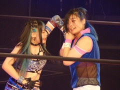 ブラデイファイトシリーズの次は闘魂シリーズ