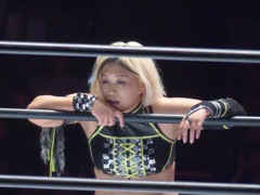 最強タッグも今日開幕か