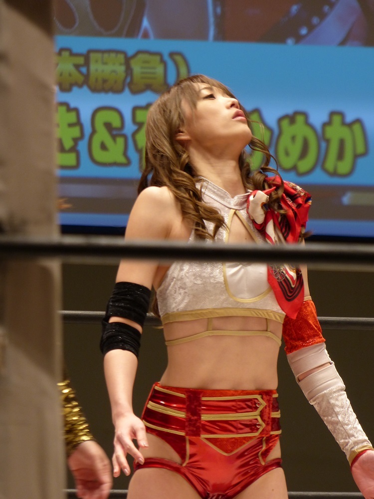 高田ｖｓヒクソンも97年