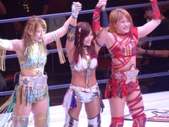 レッドピンパーネルの正体がアベヤコブ