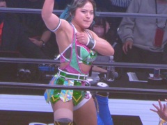 どっかの国から飛行機で来て