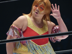 堀田祐美子選手興行は上野