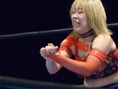 この77年闘魂シリーズ